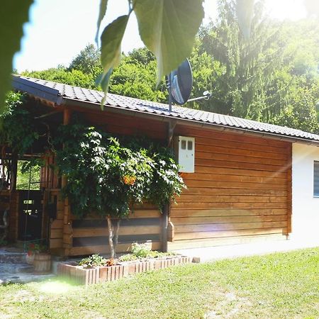 Studio Apartman Firdaus-Bihac, Dobrenica Bb Exteriör bild