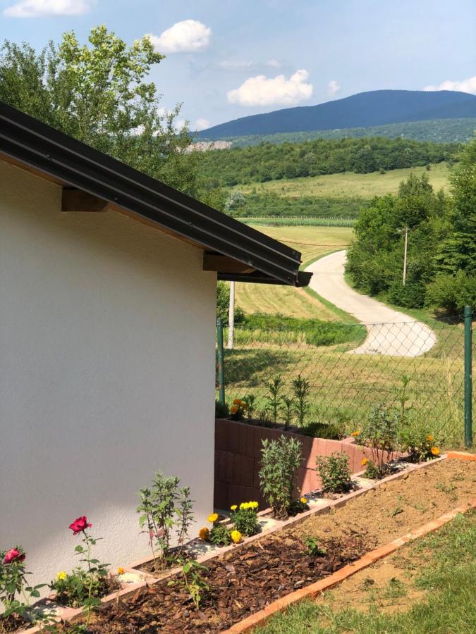 Studio Apartman Firdaus-Bihac, Dobrenica Bb Exteriör bild