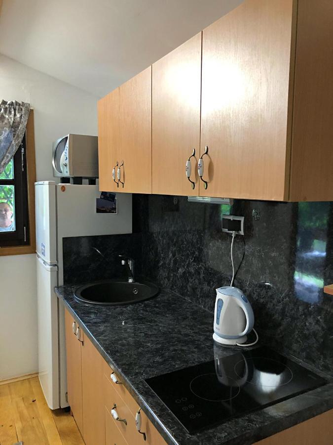Studio Apartman Firdaus-Bihac, Dobrenica Bb Exteriör bild