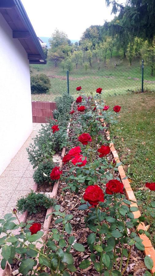 Studio Apartman Firdaus-Bihac, Dobrenica Bb Exteriör bild