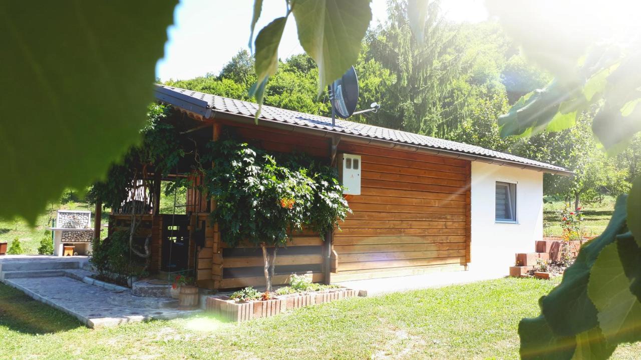 Studio Apartman Firdaus-Bihac, Dobrenica Bb Exteriör bild